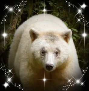 Meet your Posher, Ana